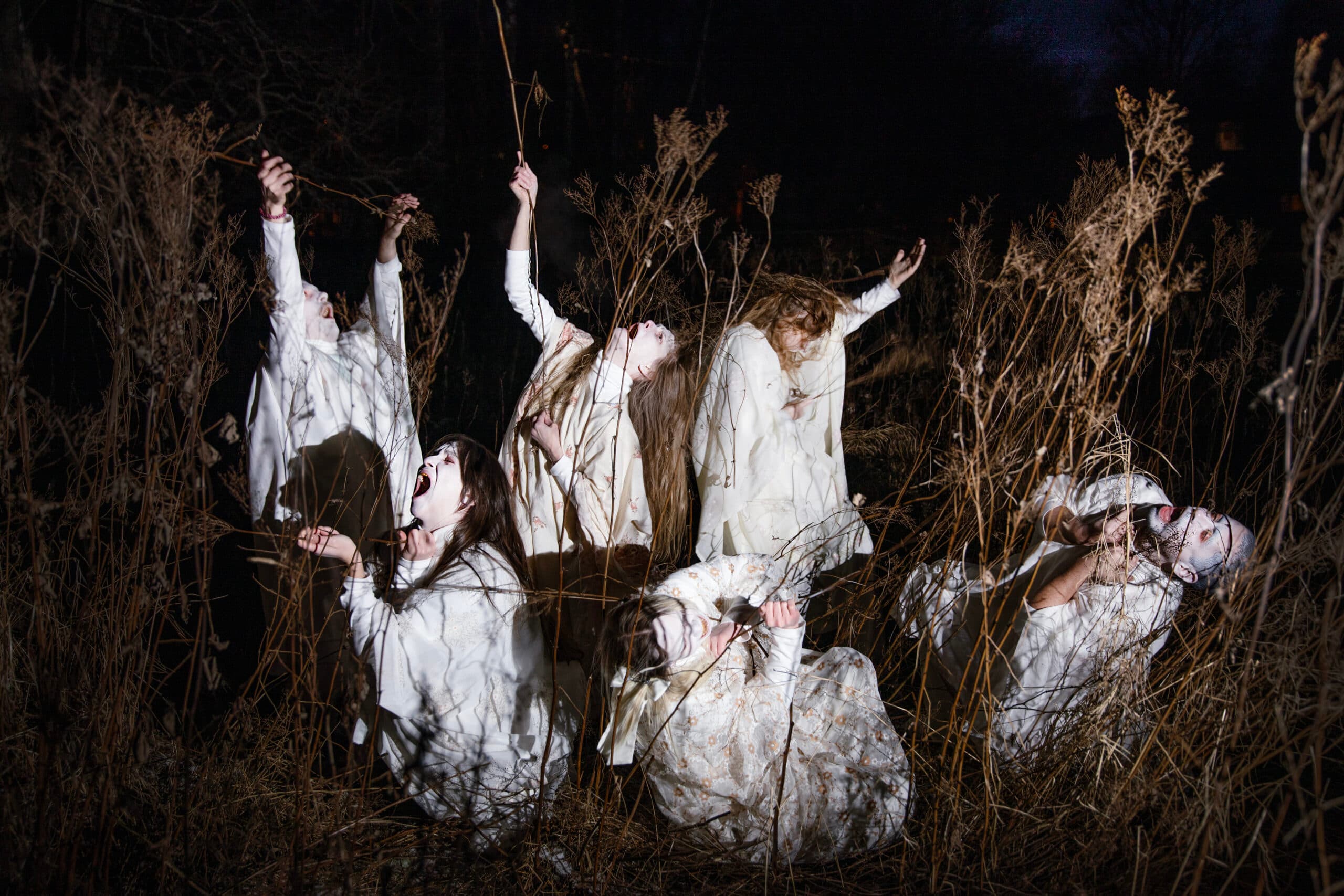 Affisch för Elina Pirinen [FIN] | Ghosts of Rosegarden
